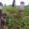 Cmentarz przy cerkwi 